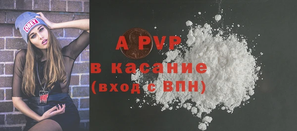 шишки Новозыбков