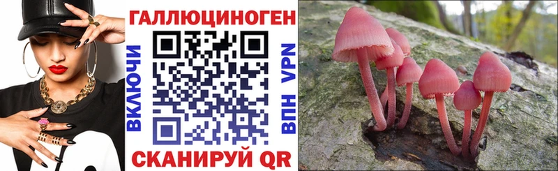 где найти   Спас-Клепики  Псилоцибиновые грибы MAGIC MUSHROOMS 